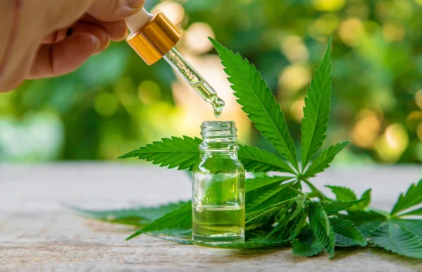 Why CBD Lifestyle Content Continues To Expand Across Social Media?